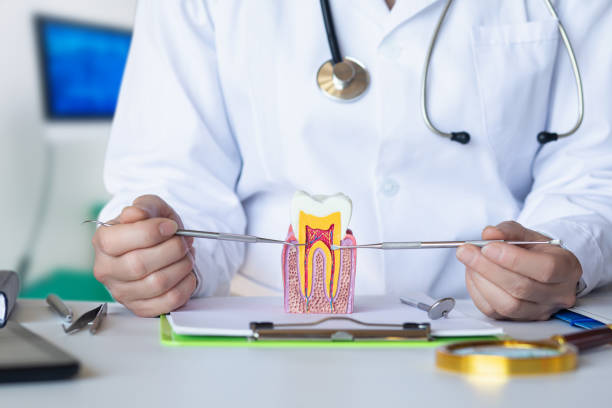 Best Emergency Dentist for Lost Fillings or Crowns in Crown Pot, IN